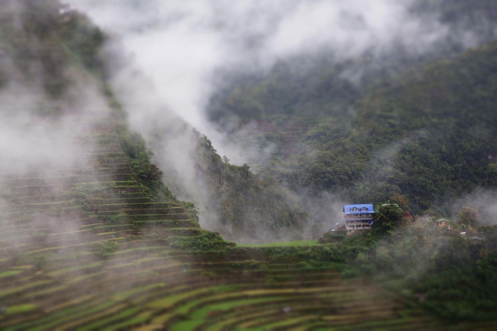 Overlooking The Rice Terraces Banaue Exterior photo