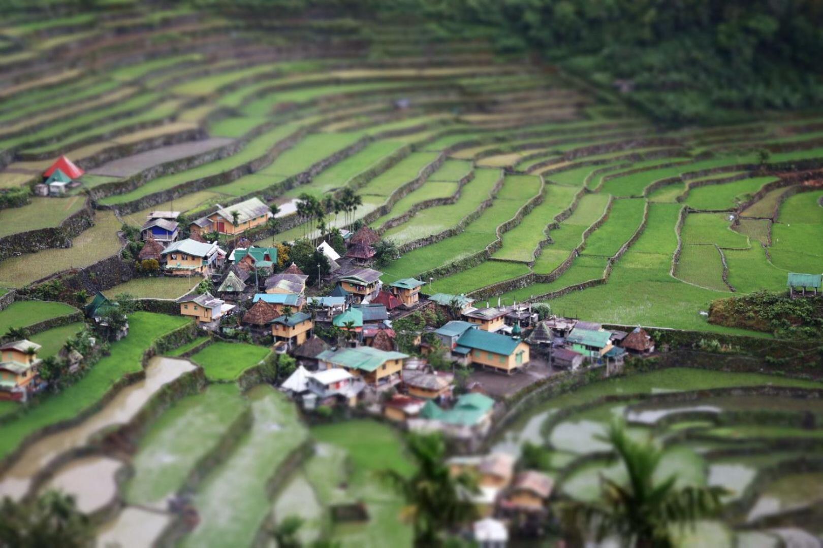 Overlooking The Rice Terraces Banaue Exterior photo
