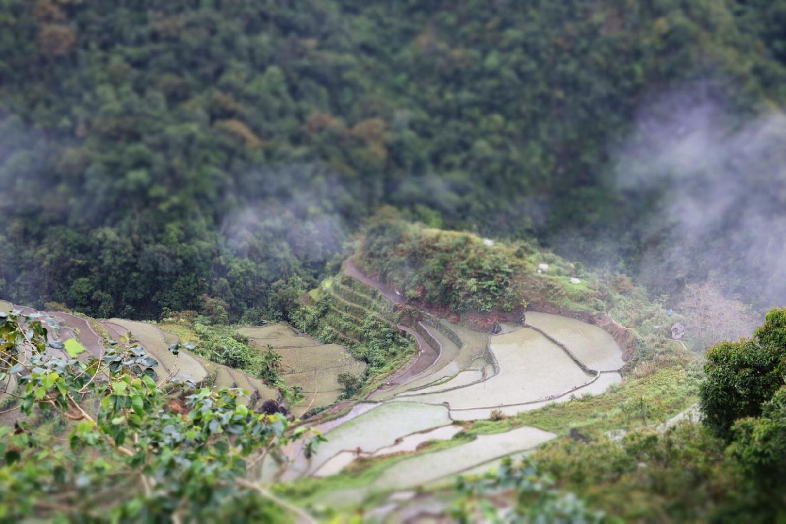Overlooking The Rice Terraces Banaue Exterior photo