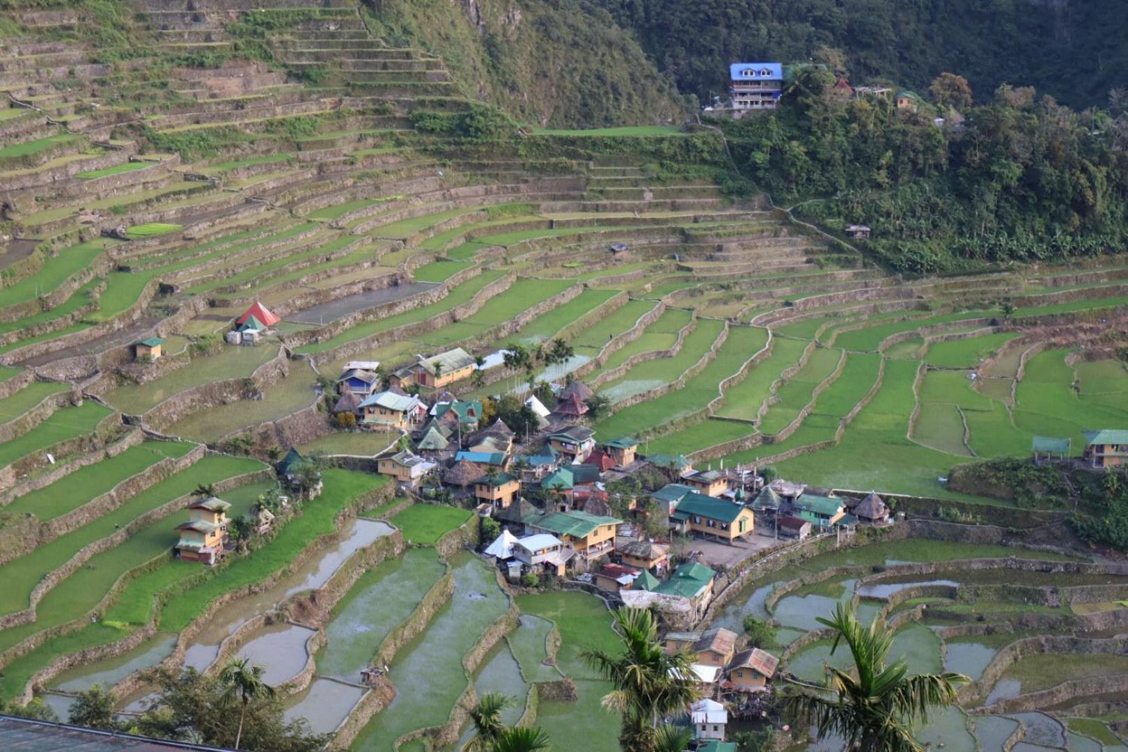 Overlooking The Rice Terraces Banaue Exterior photo