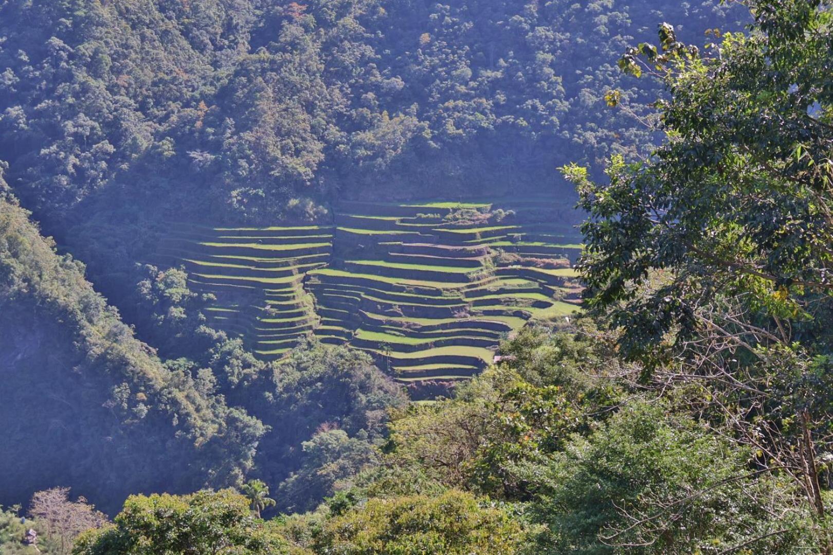 Overlooking The Rice Terraces Banaue Exterior photo